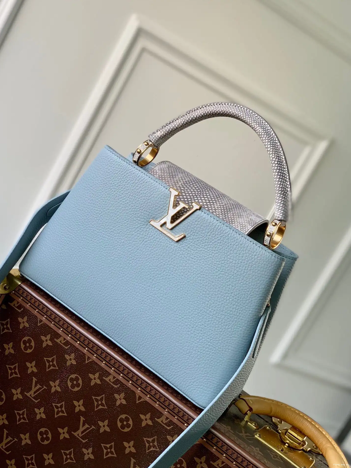 First bag ru CAPUCINES LOUIS VUITTON MM 0521